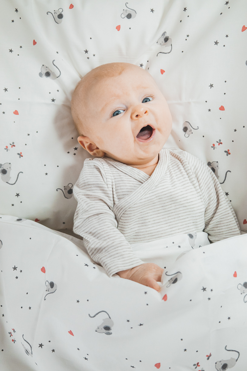 enie baby Povlečení bavlněné Myšky 100x135 a 40x60 cm