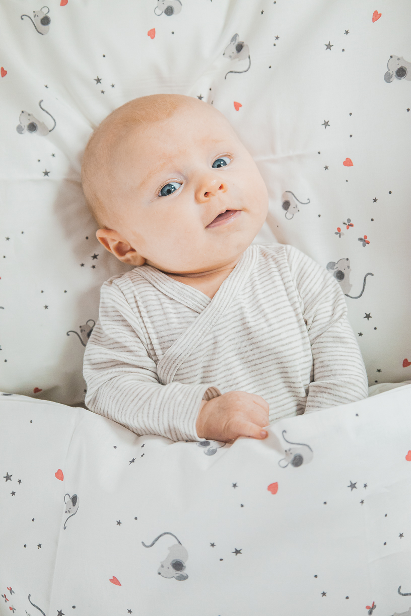 enie baby Povlečení bavlněné Myšky 100x135 a 40x60 cm